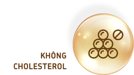 Không cholesterol