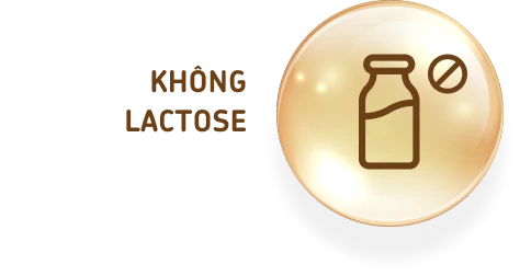 Không Lactose