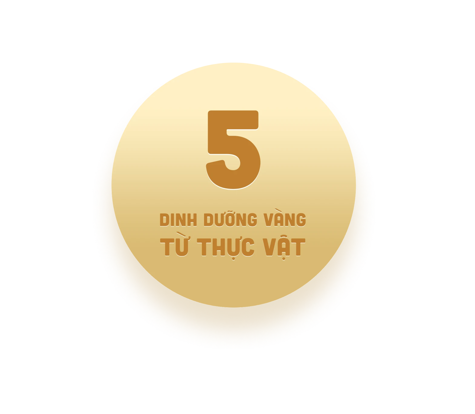 Dinh dưỡng vàng từ thực vật