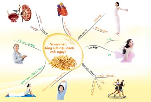 Lợi ích của sữa đậu nành